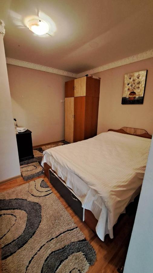 Pensiunea Burciu Salcioara  Luaran gambar